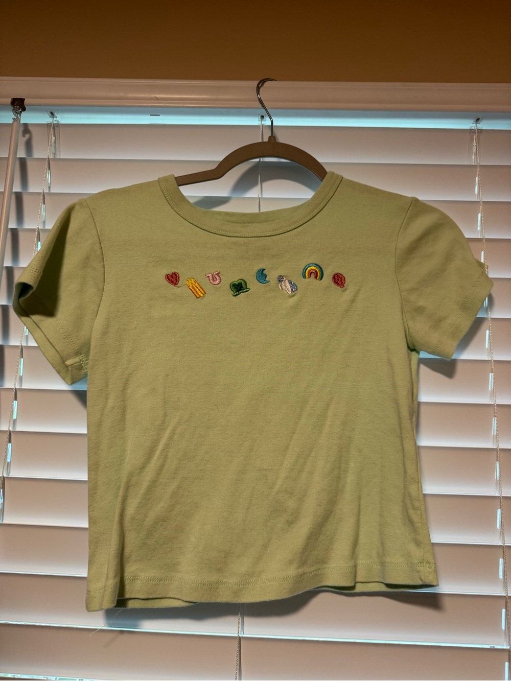 Young women’s Light Green Embroidered Short Sleeve Tee